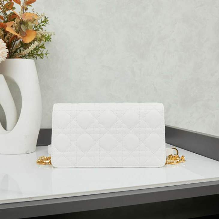 Picture of Dior Handbags _SKUfw239306390fw